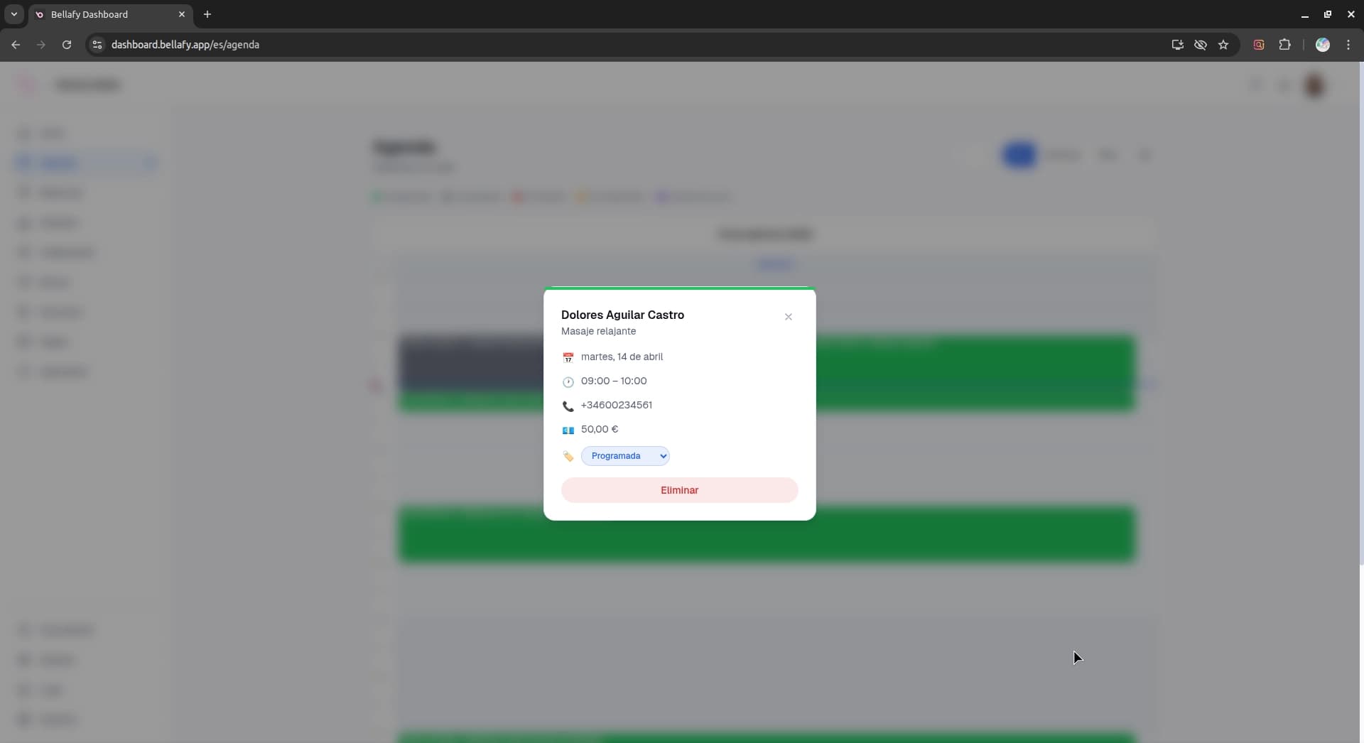 Appointment detail panel