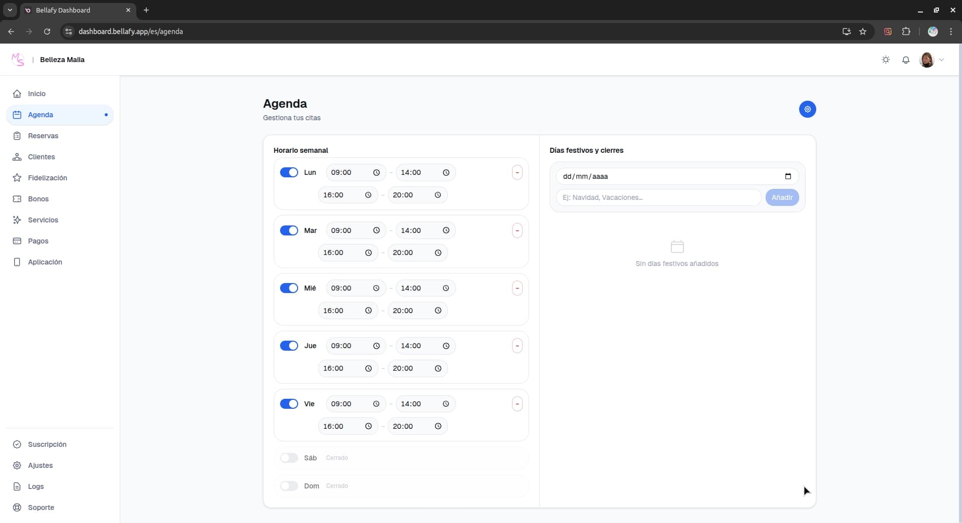 Modal de edición de día